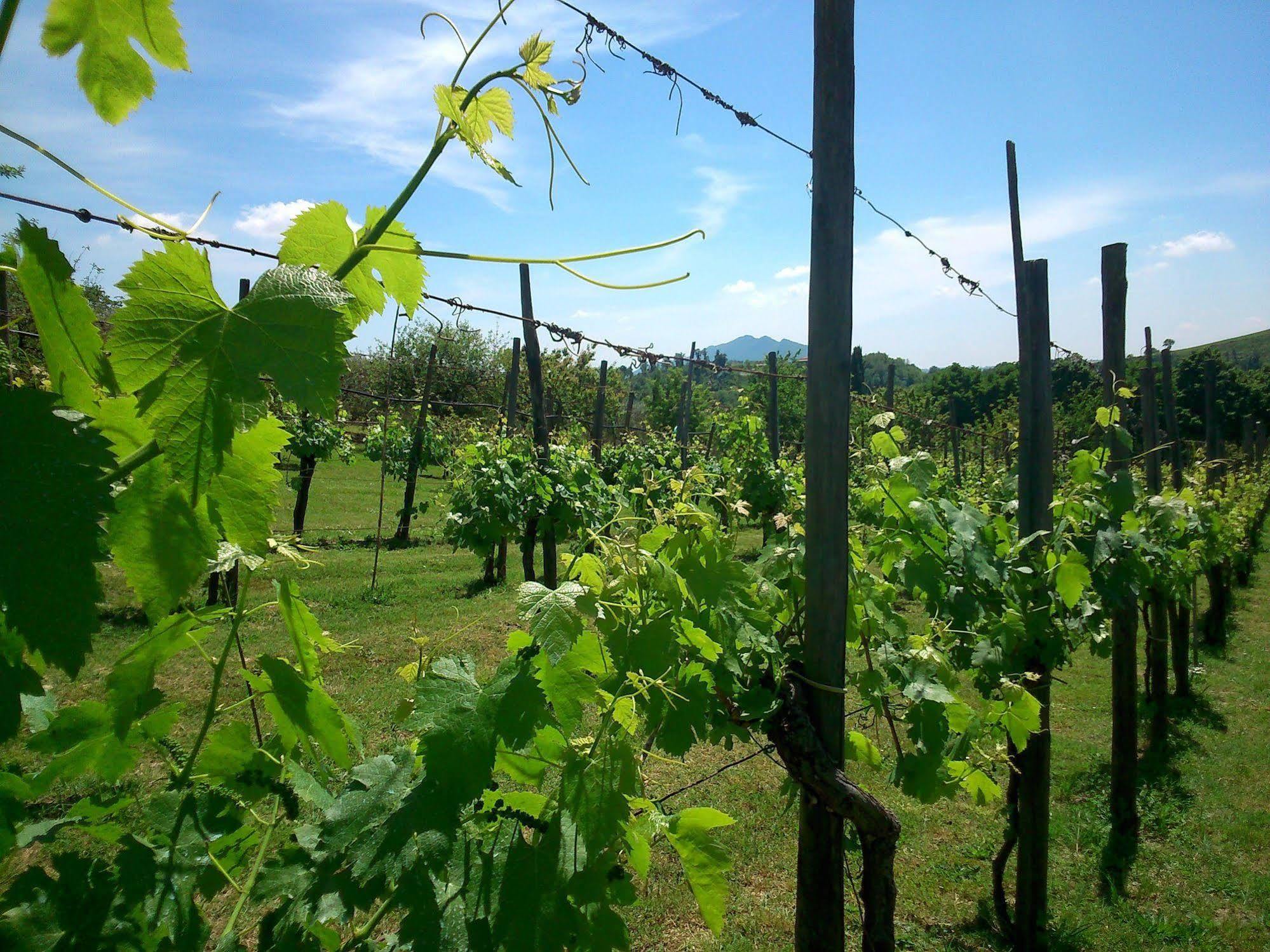 Borgodoro - Natural Luxury Bio Farm Magliano Sabina Exterior foto
